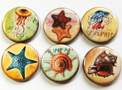 Sea Life & Seashell Set Of Six Magnets - Kelly's Handmade
