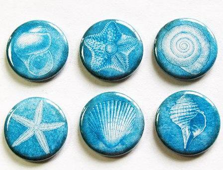 Seashell Set Of Six Magnets in Blue - Kelly's Handmade