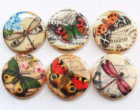 Butterflies & Dragonflies Set of Six Magnets - Kelly's Handmade