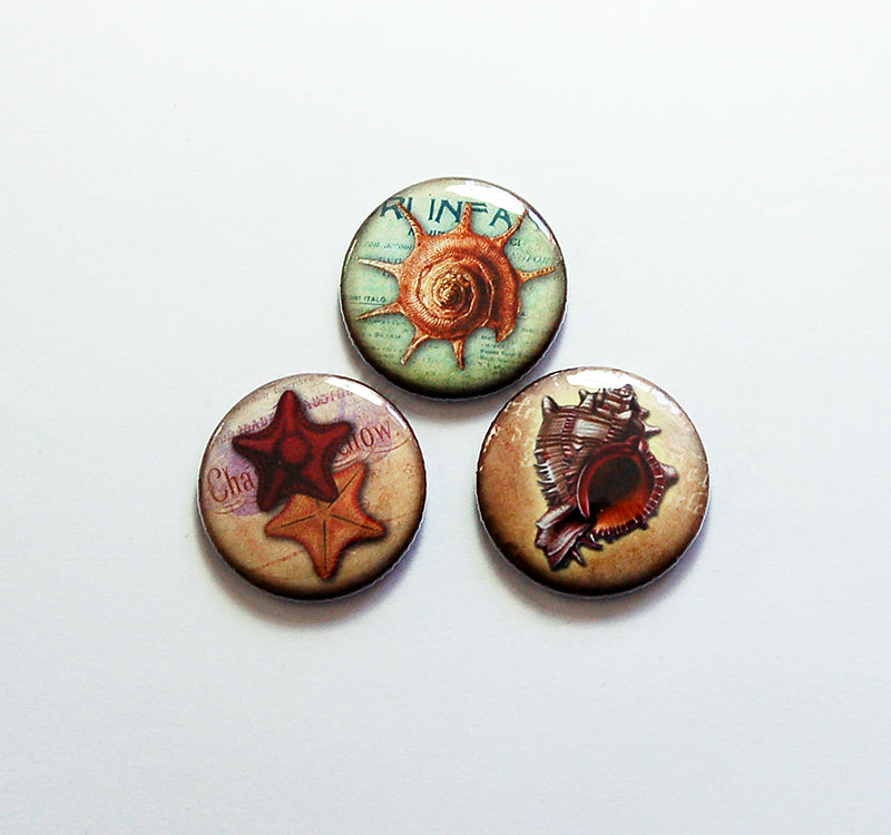 Sea Shell Magnet Trio in Brown & Green - Kelly's Handmade
