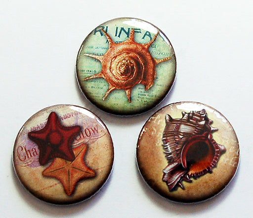 Sea Shell Magnet Trio in Brown & Green - Kelly's Handmade