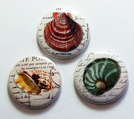 Sea Shell Magnet Trio - Kelly's Handmade