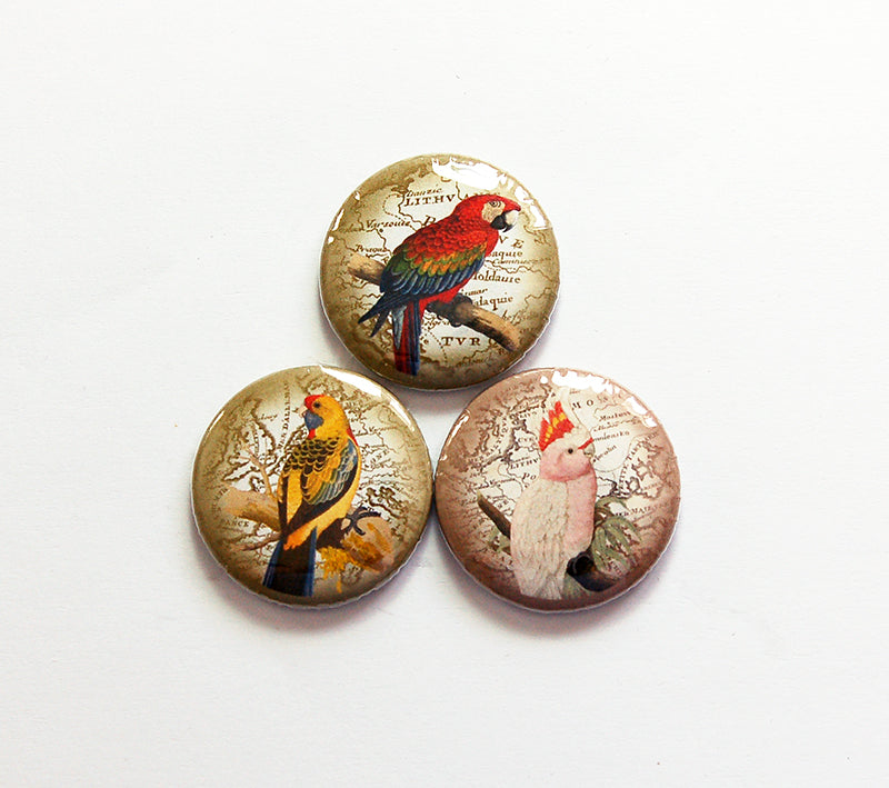 Exotic Bird Magnet Trio - Kelly's Handmade