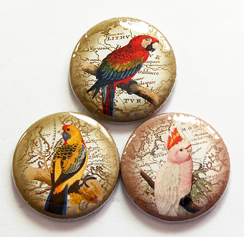 Exotic Bird Magnet Trio - Kelly's Handmade