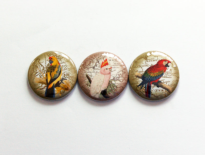 Exotic Bird Magnet Trio - Kelly's Handmade