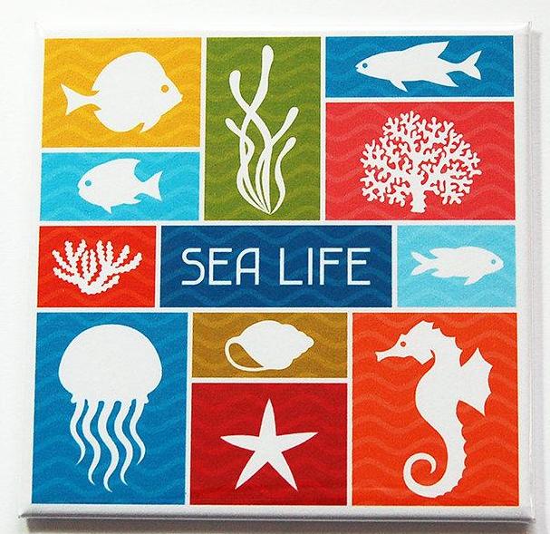 Sea Life Magnet - Kelly's Handmade