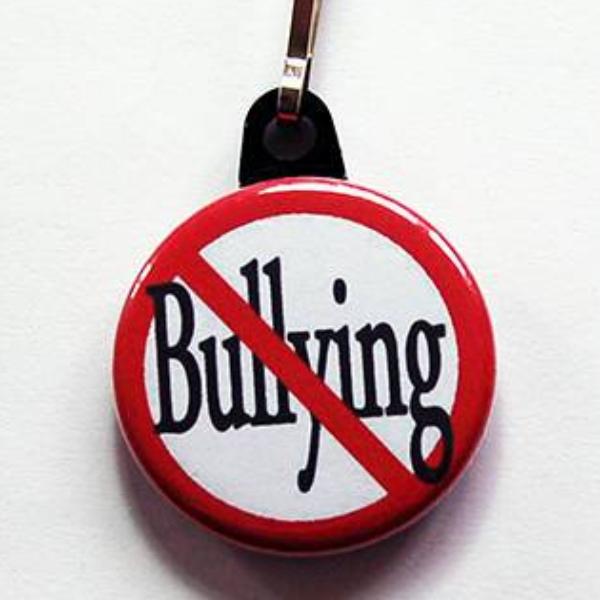 Stop Bullying Zipper Pull - Kelly's Handmade