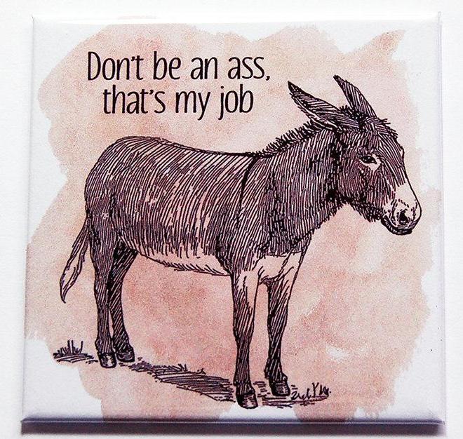 Don't Be An Ass Magnet - Kelly's Handmade