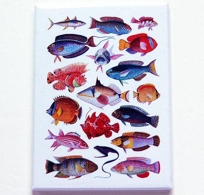 School Of Fish Rectangle Magnet - Kelly's Handmade