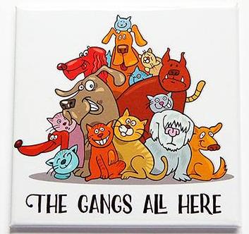 The Gangs All Here Cats & Dogs Magnet - Kelly's Handmade
