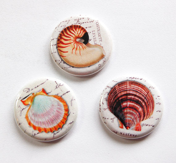 Seashell Mixture Set Of Six Magnets - Kelly's Handmade