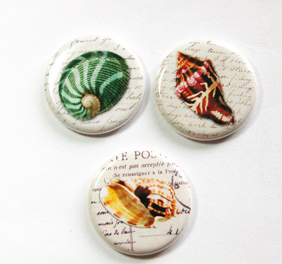 Seashell Mixture Set Of Six Magnets - Kelly's Handmade