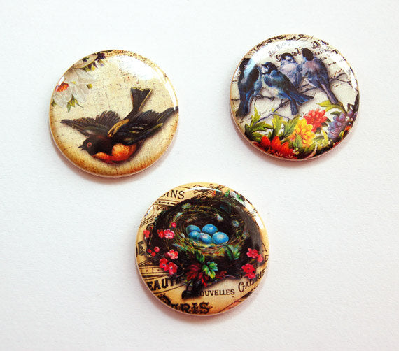 Birds & Flowers Set of Six Magnets - Kelly's Handmade