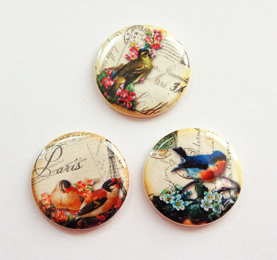 Birds & Flowers Set of Six Magnets - Kelly's Handmade