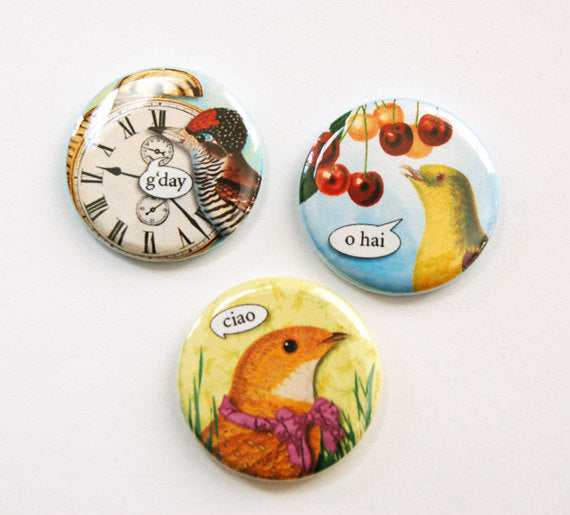 Hello! Bird Talk Set of Six Magnets - Kelly's Handmade