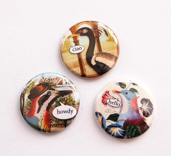 Hello! Bird Talk Set of Six Magnets - Kelly's Handmade