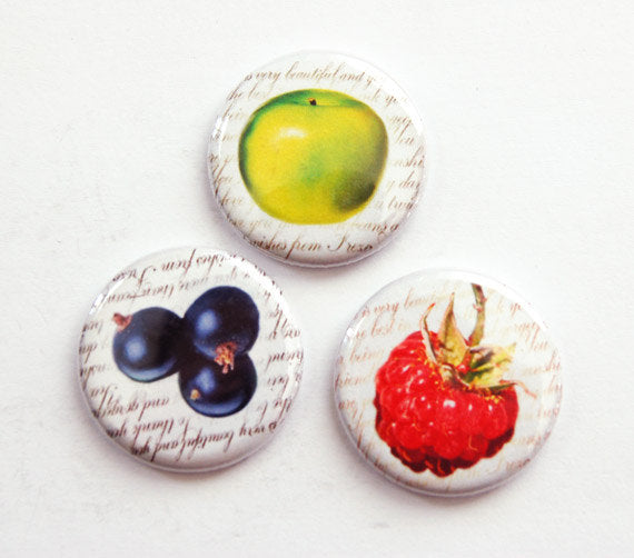 Fruit Set of Six Magnets Bright Colors - Kelly's Handmade