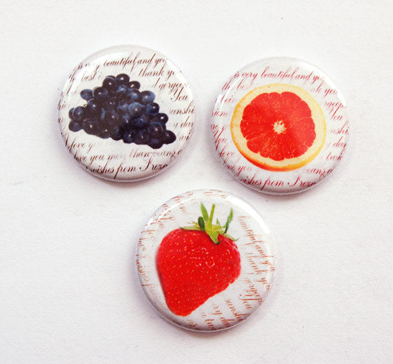 Fruit Set of Six Magnets Bright Colors - Kelly's Handmade