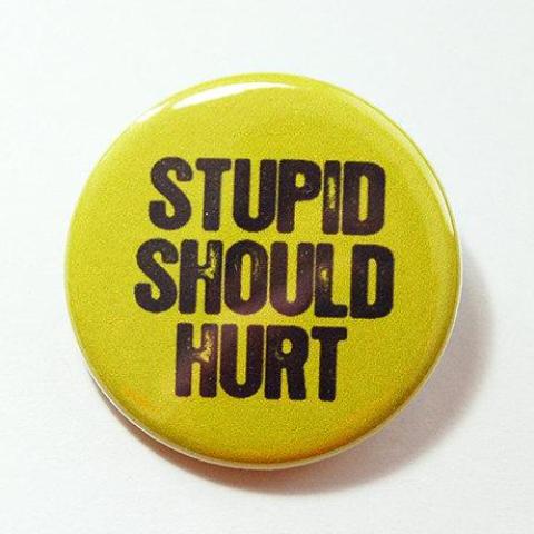 Stupid Should Hurt Pin - Kelly's Handmade