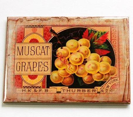 Muscat Grapes Seed Packet Rectangle Magnet - Kelly's Handmade