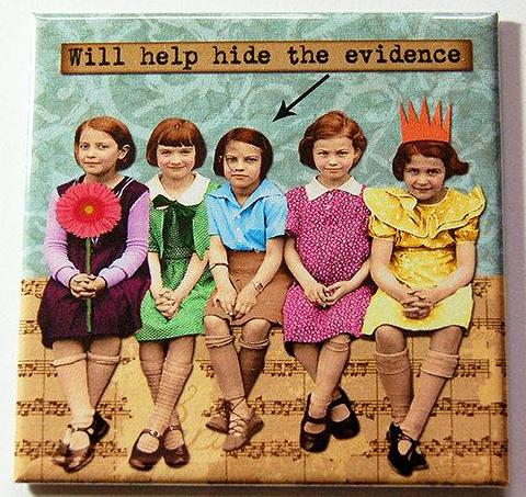 Hide The Evidence Magnet - Kelly's Handmade