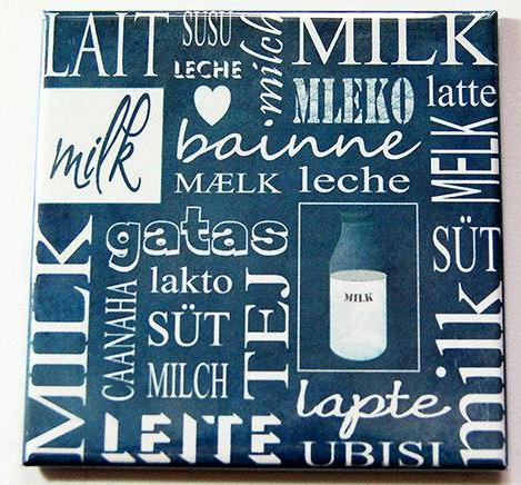 Milk Leche Lait Magnet - Kelly's Handmade