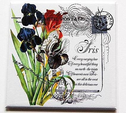 Spring Flower Iris Magnet - Kelly's Handmade