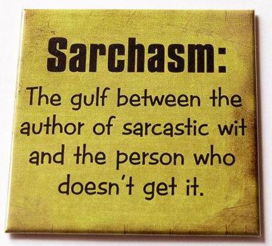 Sarcasm Funny Magnet - Kelly's Handmade