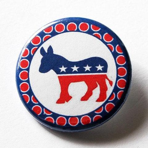 Democrat Donkey Pin - Kelly's Handmade
